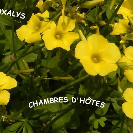 Bed & Breakfast Maison Oxalys *